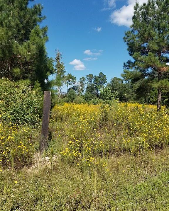 1st image of 546 County Road 3408