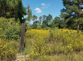 546 County Road 3408, Cleveland, TX 77327
