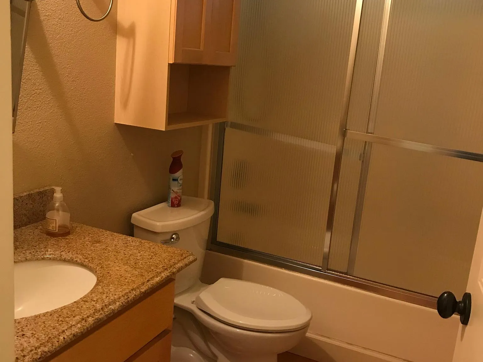 2 bed, 850 sqft, $1,750 — Photo 3