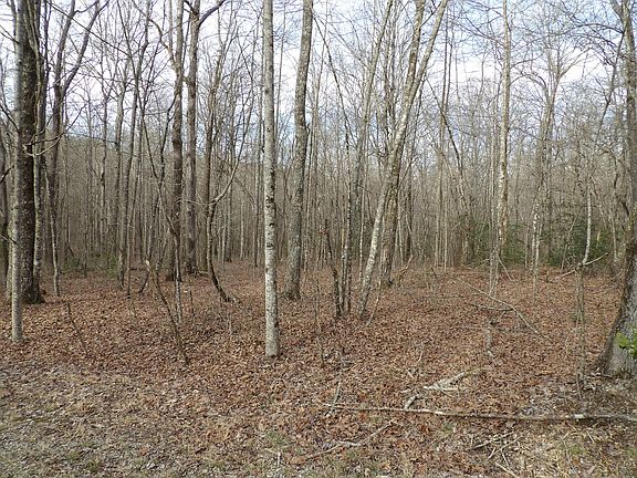 2nd image of 2 Dogwood Dr #2
