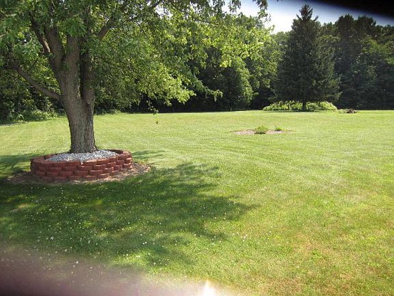 4th image of 313 County Road 1675