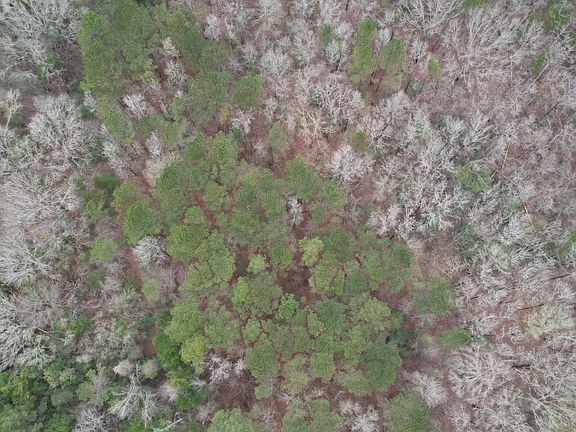 4th image of 0 Ratliff Rd