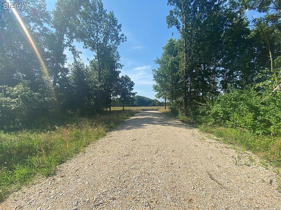 2nd image of LOT Five Springview Farms