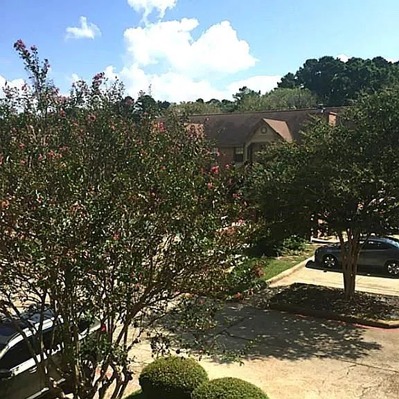 2402 Sycamore Ave #B3 — Photo 15