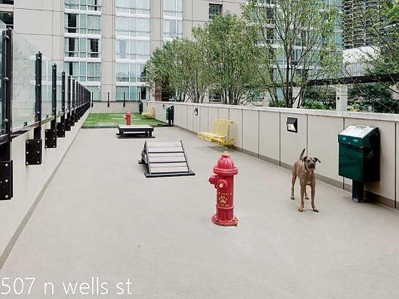 4th image of 507 N Wells St #1122
