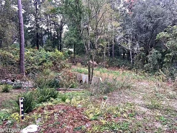 4th image of 30928 Joseph Dr