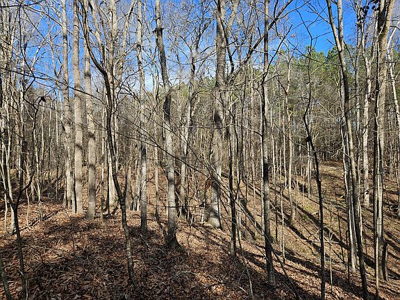 4th image of LOT 4 Elberton Hwy #36-018I