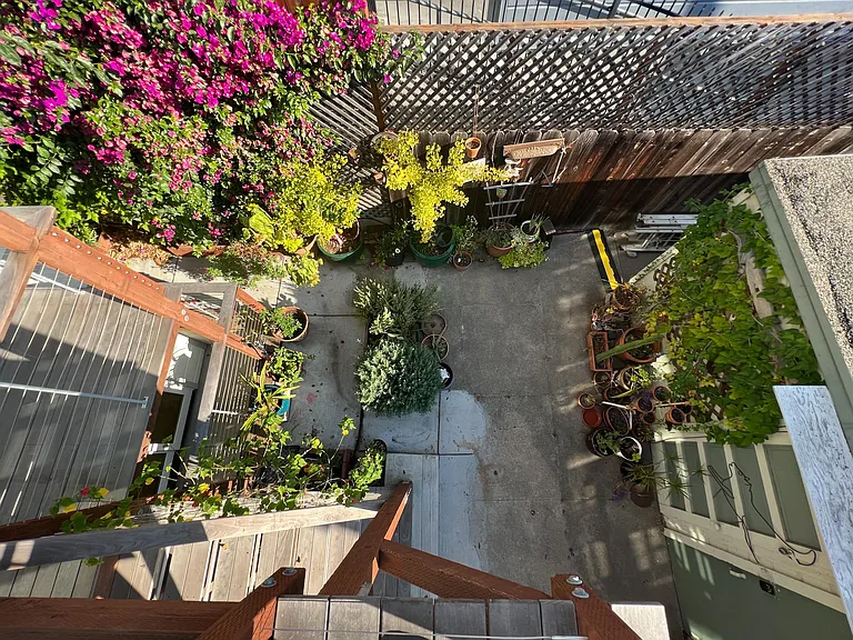 Back yard top view