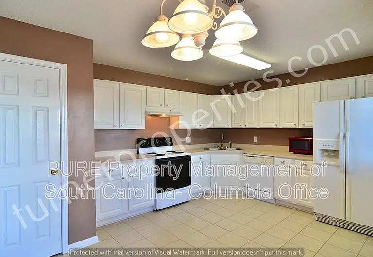 203 Summit Springs Dr — Photo 13