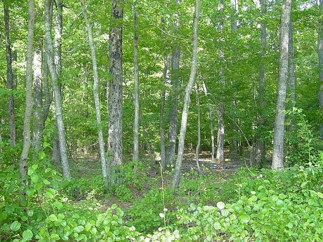 1st image of 113 Richardson Loop Road LOT 2