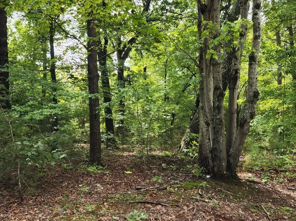 LOT 4501 Mill Creek Rd Lot 1, Cedar Grove, NC 27231