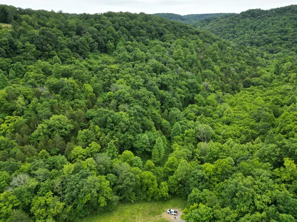 0 Buckeye Hollow Rd Lot 2, Smithville, TN 37166
