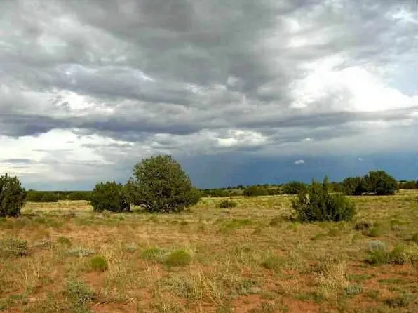 LOT 321 Chevelon Canyon Dr, Heber, AZ 85928