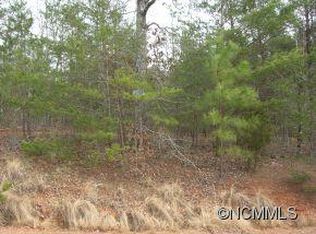 48 River Ridge Dr, Rutherfordton, NC 28139