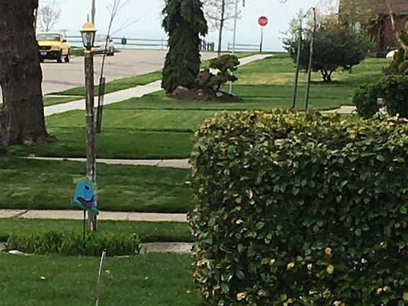 Front yard view of Lake Erie