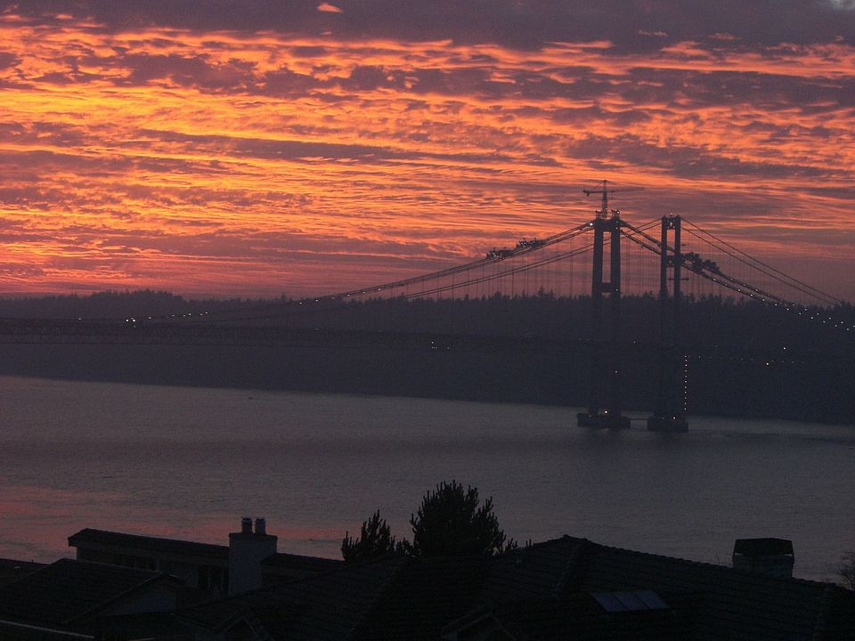 Sunset View