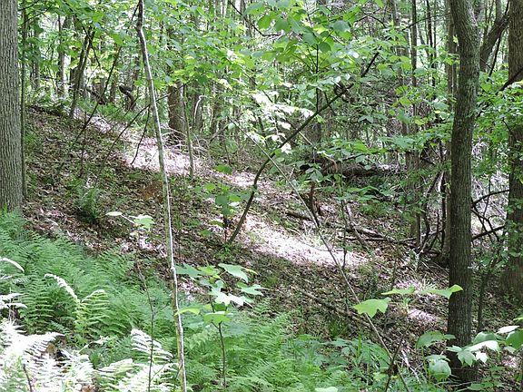 5th image of New Mountain High Pkwy