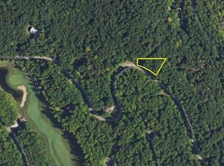 LOT 218 Hawks Eye Dr, Bellaire, MI 49615
