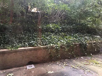 Rented by Caliber Associates