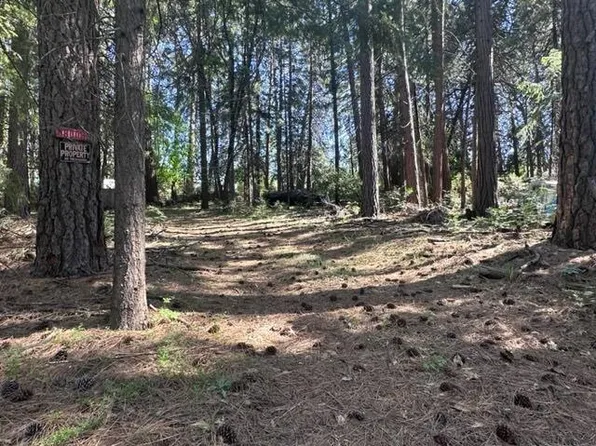 19051 Allan Rd W, Volcano, CA 95689