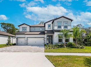 13858 Sharp Hawk Dr, Riverview, FL 33569