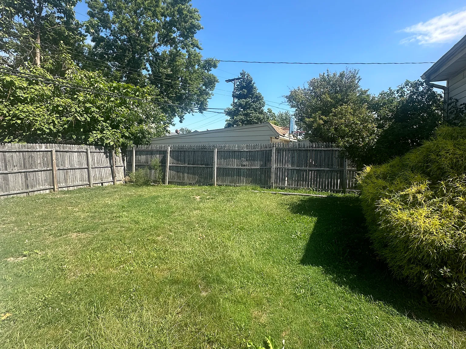 4 bed, 1332 sqft, $1,600 — Photo 3