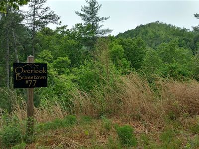 LOT 77 Brasstown Vw, Brasstown, NC, 28902