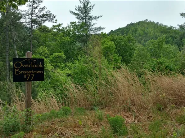 LOT 77 Brasstown Vw, Brasstown, NC 28902