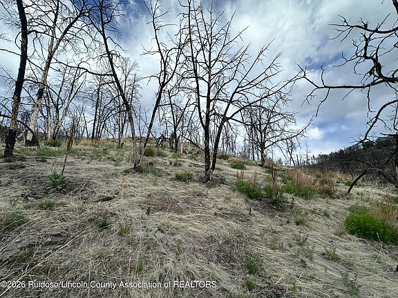 5th image of 121 Tall Pines Rd