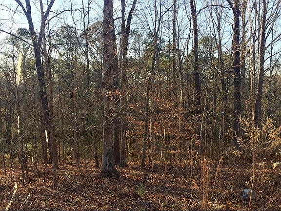 4th image of 358 Woodmont Ct #4
