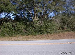 11573 S Pleasant Grove Rd, Floral City, FL 34436