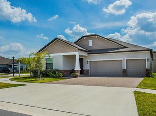 13425 White Sapphire Rd, Riverview, FL 33579