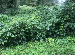 Renee Dr, Johnson city, TN 37601