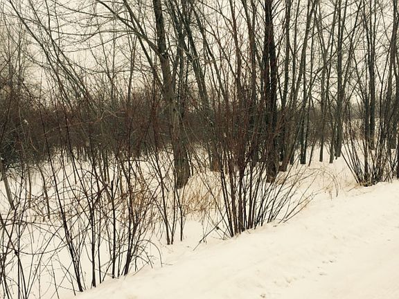 2nd image of Aplona Ln