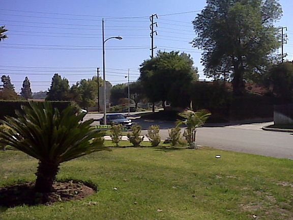 4th image of 1735 E Michelle St
