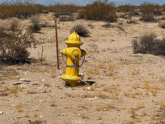 5th image of 2849 Delaware Ave