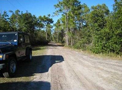 1st image of 1156 Juniper Dr