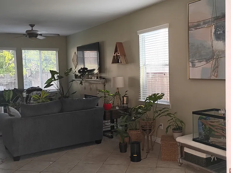 Entrance to House - Living Room and Family Room