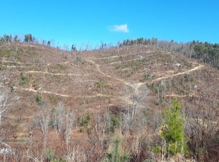 Big Creek Rd, Hartford, TN 37753