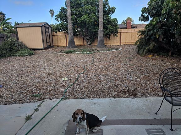 Back yard and storage shed