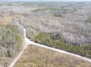 0 SE Brushy Hammock Rd, Mayo, FL 32066