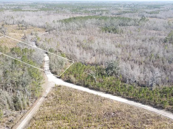 0 SE Brushy Hammock, Mayo, FL 32066