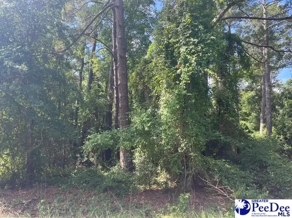 Patrick Hwy, Hartsville, SC 29550