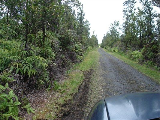 2nd image of Wailele St