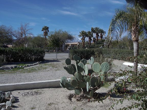 Cactus Gardens