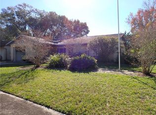 11401 Buchanan Ln, Seffner, FL 33584