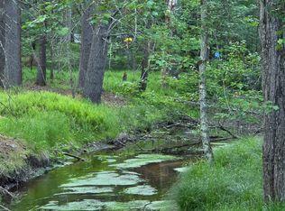 LOT 303 Tacy Rd, Swan Lake, NY 12783