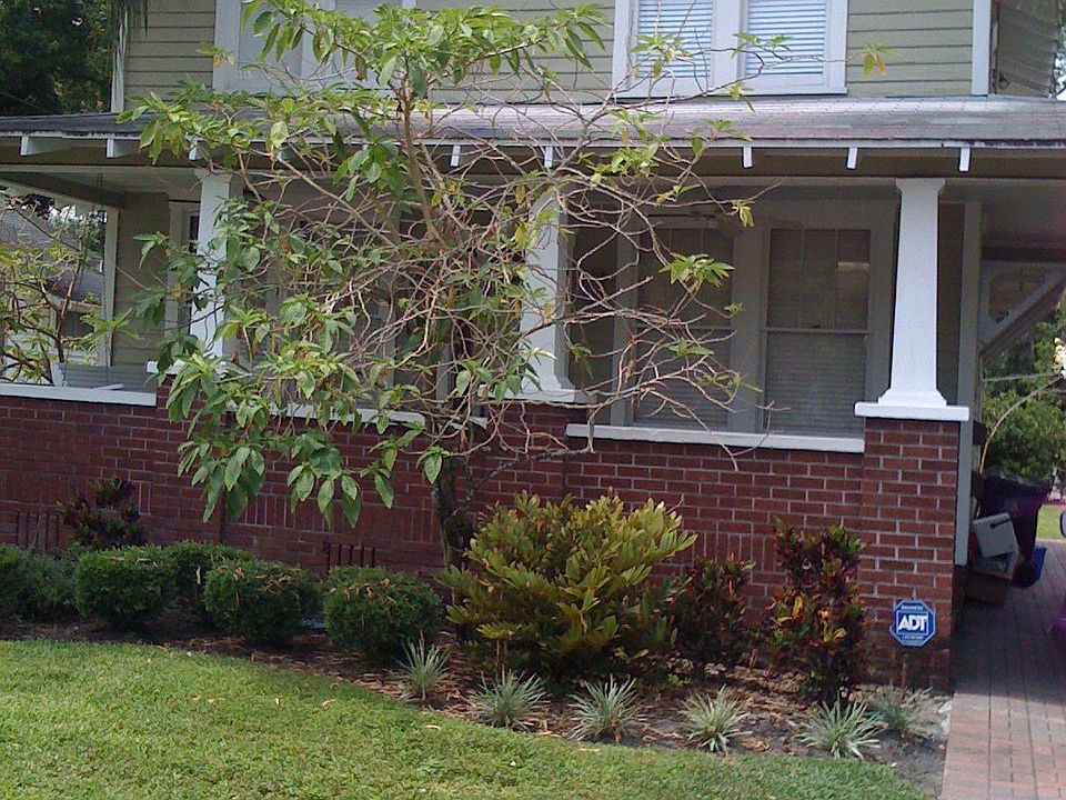 Main House