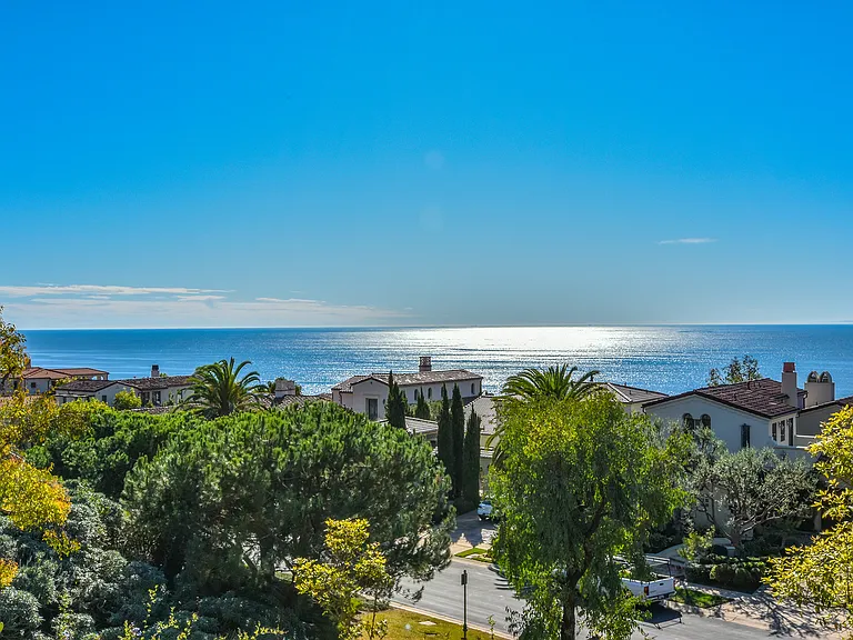 View from the backyard