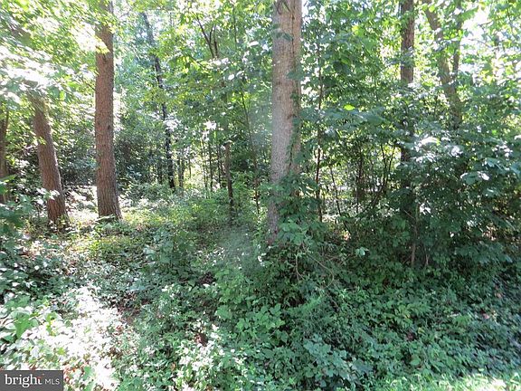 sloped wooded lot interior